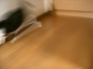 d0005397_055550.jpg