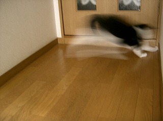 d0005397_0564841.jpg