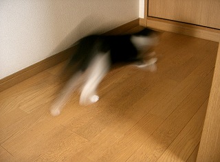 d0005397_056525.jpg