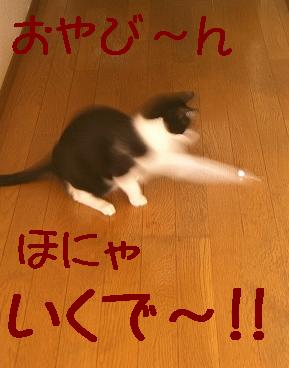 d0005397_1421051.jpg