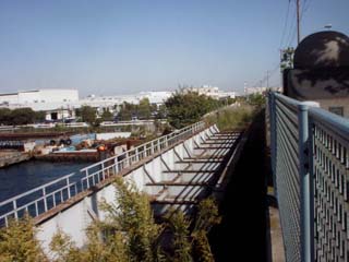 d0004301_0341589.jpg