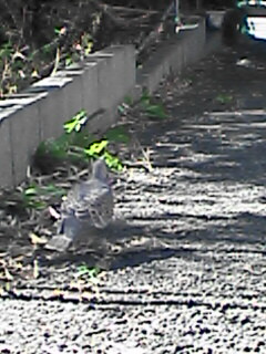 c0056903_13302389.jpg