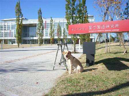 e0046305_1104922.jpg