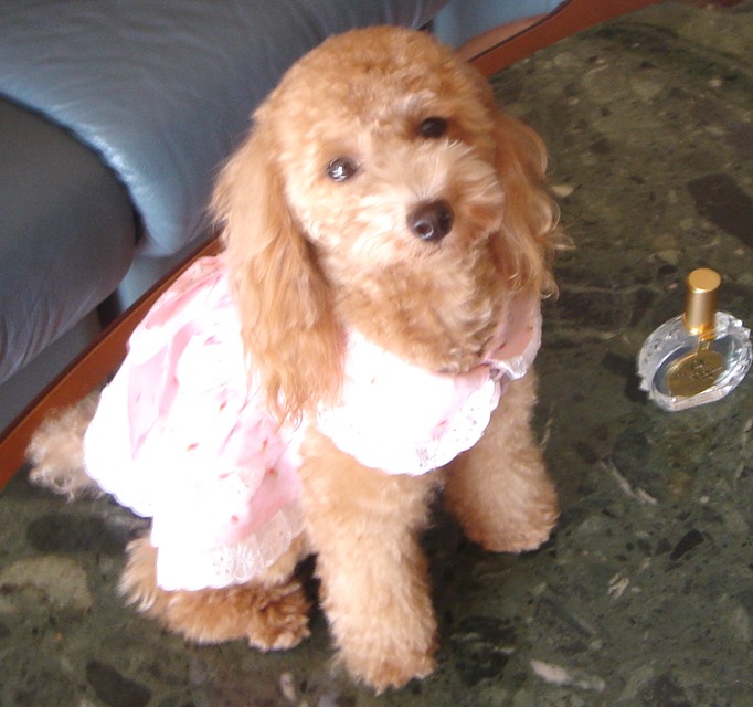 c0041207_2132553.jpg