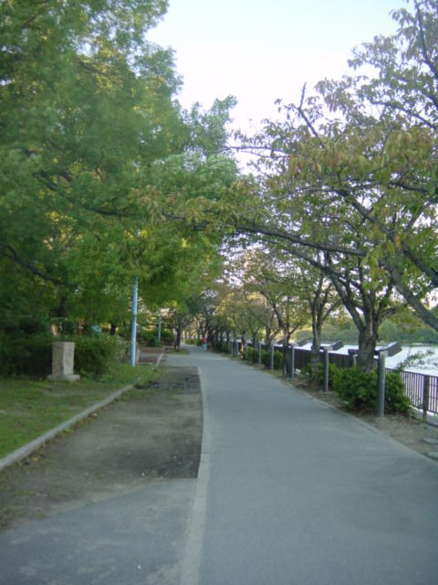 c0002614_20241321.jpg