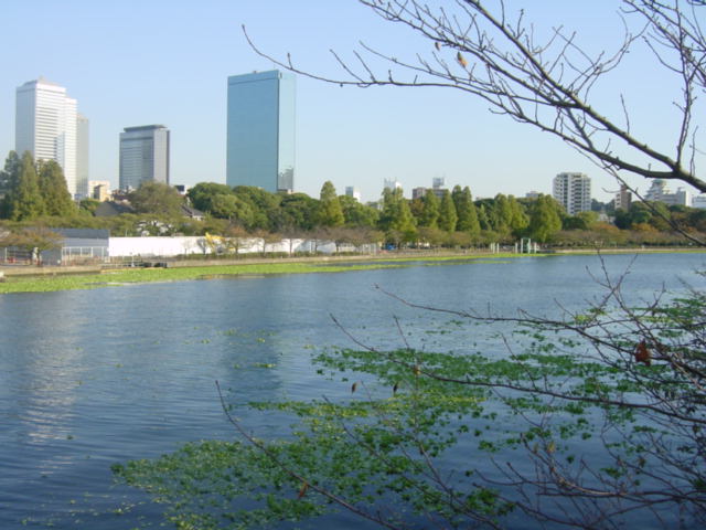 c0002614_202414.jpg