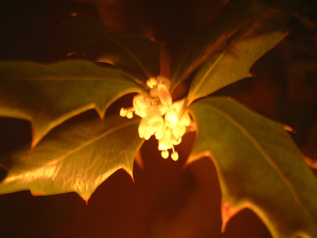 d0041022_22401937.jpg