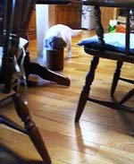 e0065928_1749750.jpg