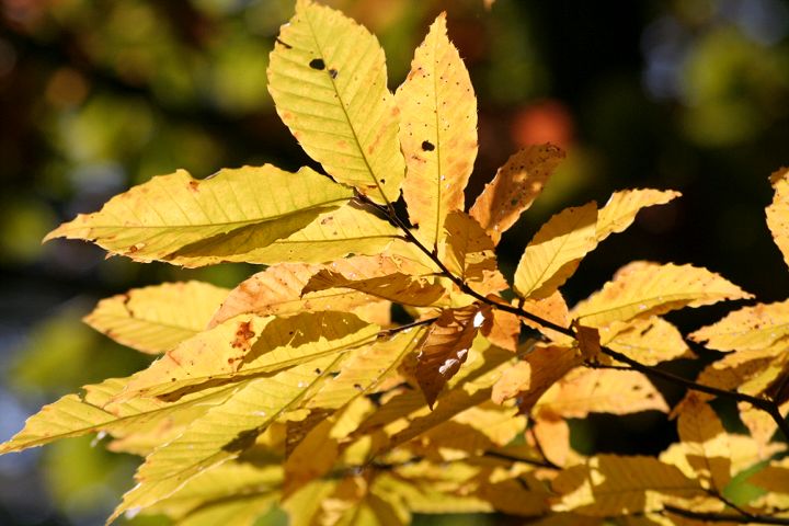 d0012134_2350851.jpg