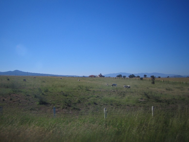 e0025342_4102591.jpg