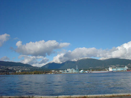 e0016845_1351987.jpg