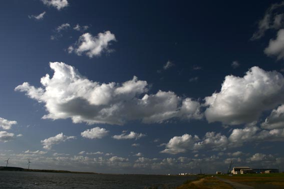 d0029746_2232561.jpg
