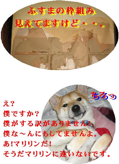 e0085147_19194951.jpg