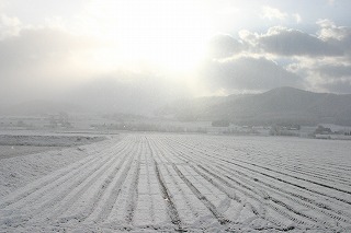 a0014860_202129.jpg
