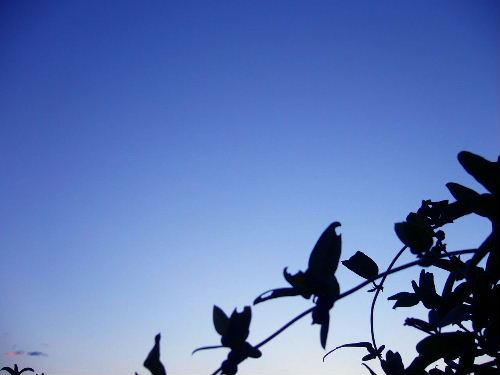 b0015260_1352964.jpg