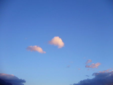 b0015260_13554277.jpg