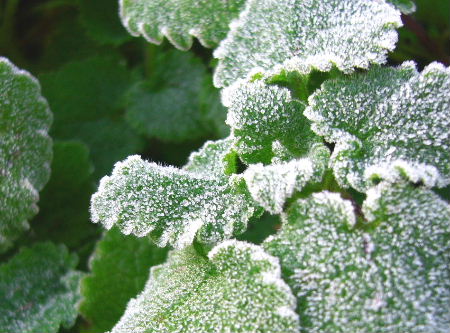 b0015260_13555662.jpg