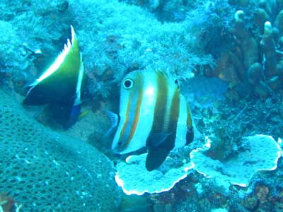 d0056263_21103257.jpg