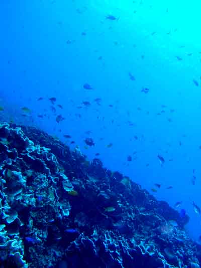 d0056263_21113561.jpg