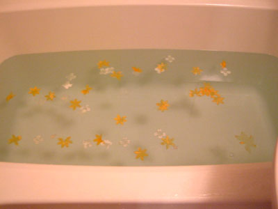 c0032567_2311823.jpg