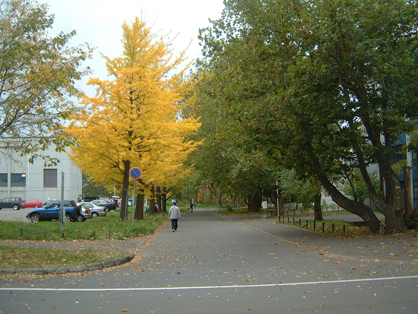 e0091969_2219680.jpg