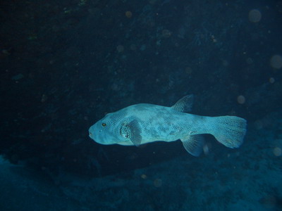a0002177_20583224.jpg