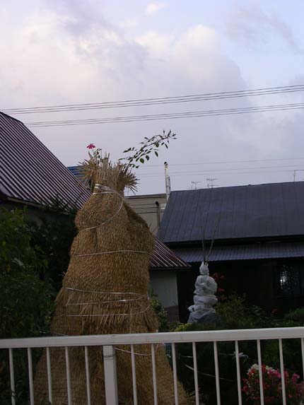 d0034980_20401924.jpg