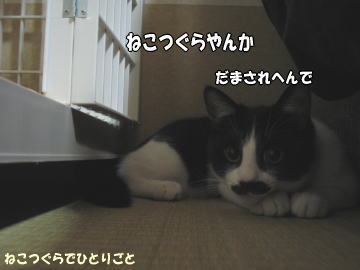 b0041182_158555.jpg