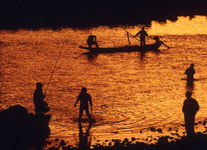 a0050405_60573.jpg