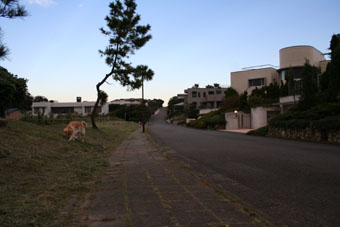 e0072606_20341541.jpg