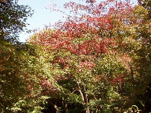 e0083212_2012973.jpg