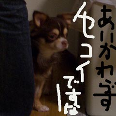 c0036617_1646449.jpg