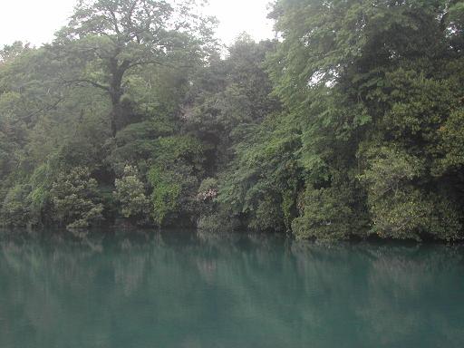 a0040725_14213100.jpg