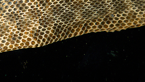 c0066827_0533582.jpg