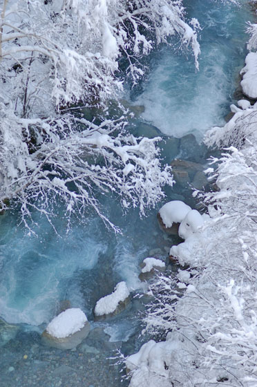 e0025030_1629289.jpg