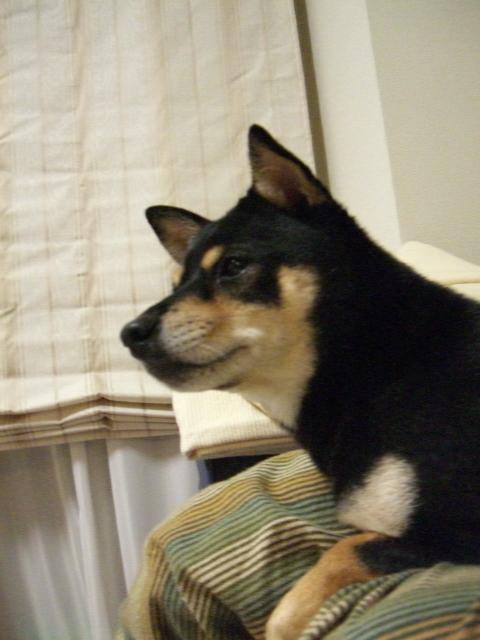e0025240_21235229.jpg
