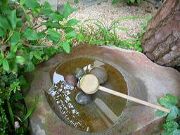c0004744_224630.jpg