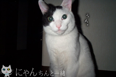 e0031853_0271352.jpg
