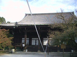d0020159_9592166.jpg