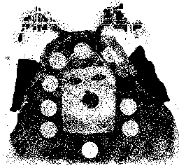 d0063263_1444977.gif