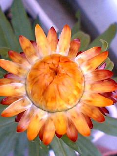 a0064865_2136211.jpg