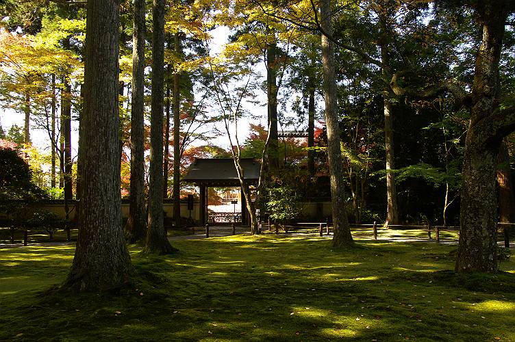 e0002371_22521715.jpg