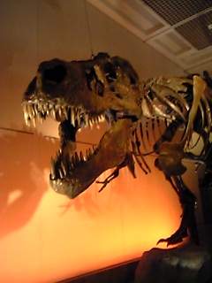 e0081772_1624943.jpg