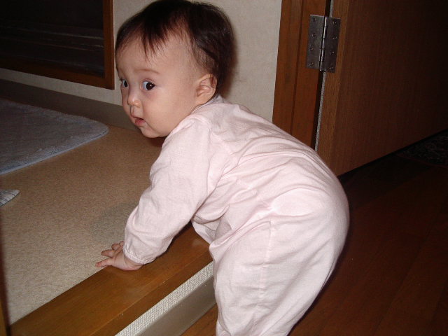 e0089272_2136670.jpg