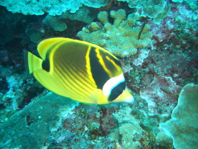 a0002177_22462066.jpg