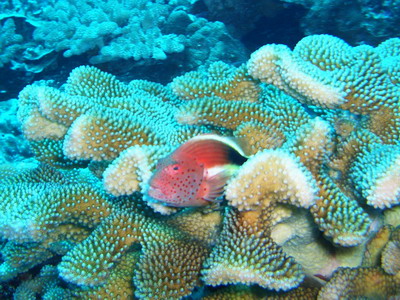 a0002177_22472548.jpg