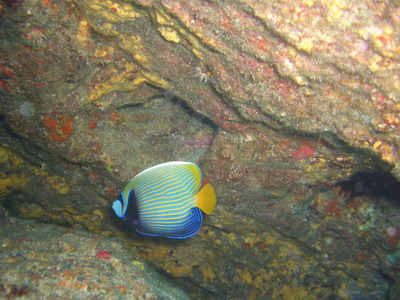 a0002177_22523416.jpg