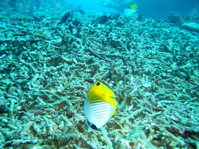 a0002177_22533143.jpg