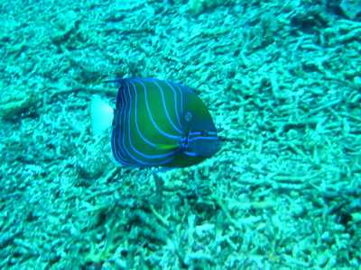 a0002177_22544670.jpg
