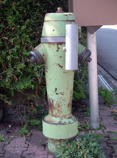 b0038588_20254270.jpg
